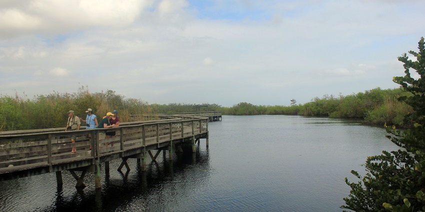 Everglades National Park with tourists on a wooden bridge and lake surrounded by greenery