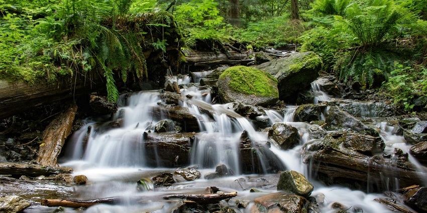 A breathtaking view of Courtallam Waterfalls surrounded by lush greenery and visitors.