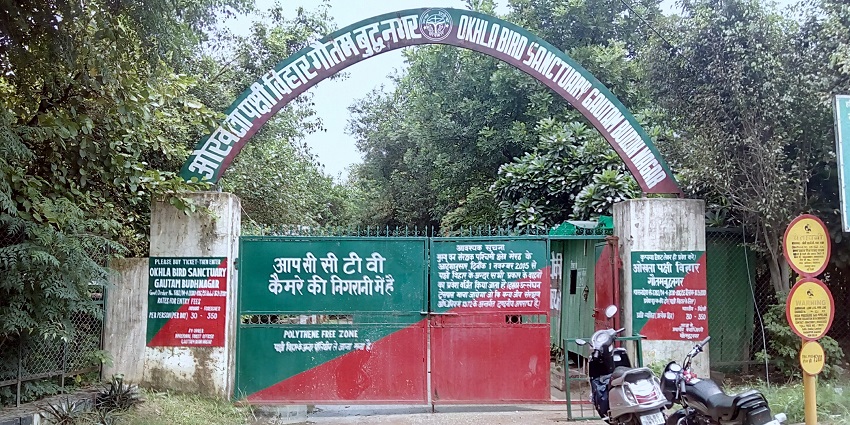 A picture of Okhla Sanctuary, which offers some of the most peaceful things to see in Noida