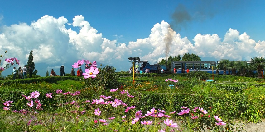 Exploring Batasia Loop is a memorable thing to do in Bagdogra, West Bengal.