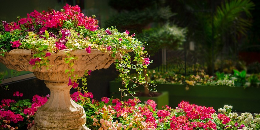 A picture of a Botanical Garden filled with rare plant species and exotic flowers.