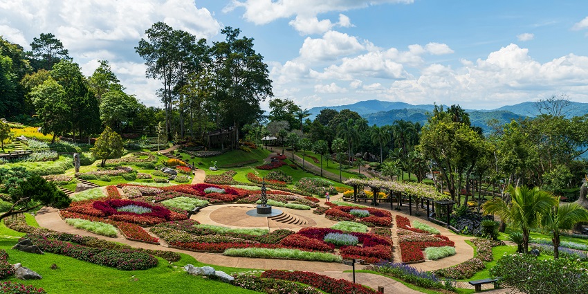 One of the top things to do in Dhanaulti in December is exploring the botanical gardens.