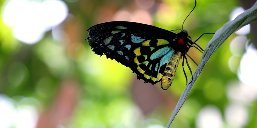 The best things to do in Bhimtal include visiting the informative research center.