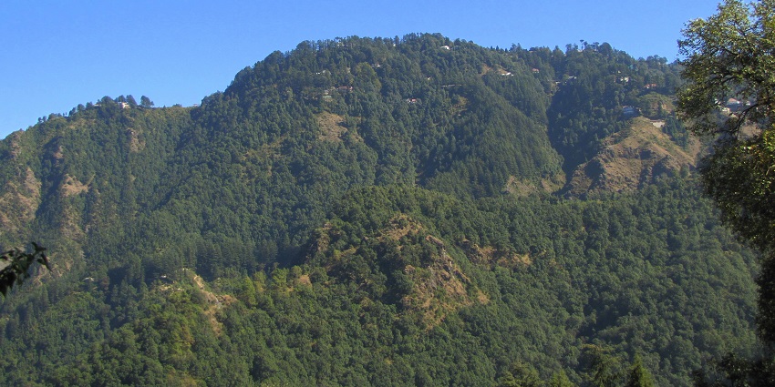 Things to do in Chakrata include exploring Deoban's serene forest.