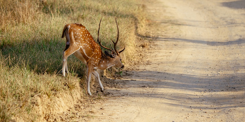 Wildlife park home to various deer species and nature trails.
