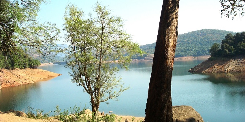 Visiting Papanasam Dam is one of the most popular things to do in Tirunelveli district.