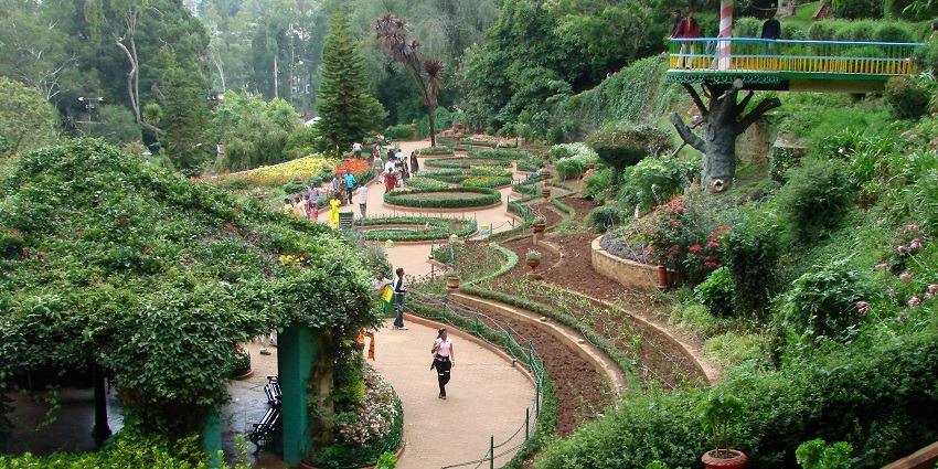 The Government Botanical Garden, features well-maintained lawns and a variety of trees.