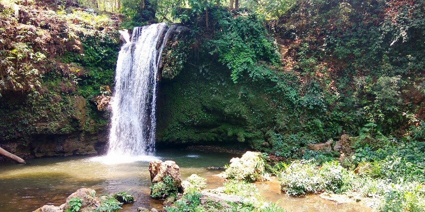 Things to do in Jim Corbett include visiting the waterfall surrounded by lush greenery.