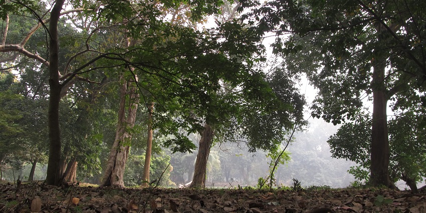 Visitors walk in the greenery, one of the essential things to do in Howrah, West Bengal.