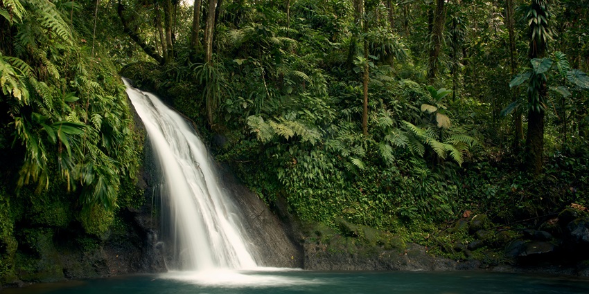 A marvellous view of the Jharipani Falls, one of the best places to visit for travellers.
