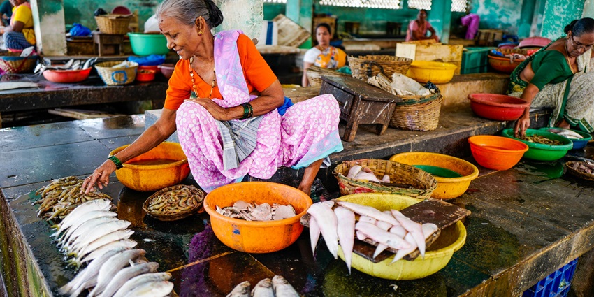 Exploring the vibrant morning fish market is one of the best things to do in Velankanni