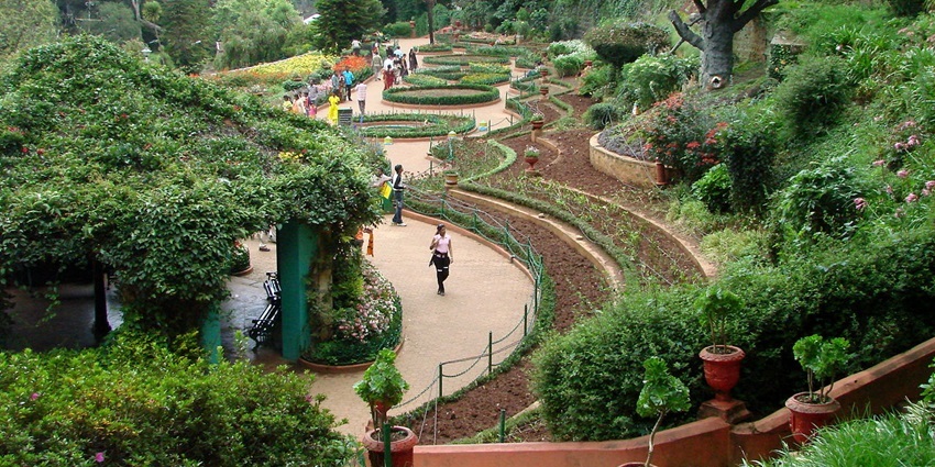 Vines and grasses adorn the plants in Ooty Botanical Garden with a domical structure of a glass roof