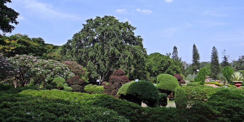 A lush green view of Gandhi Bagh, that offers one of the best things to do in Meerut.