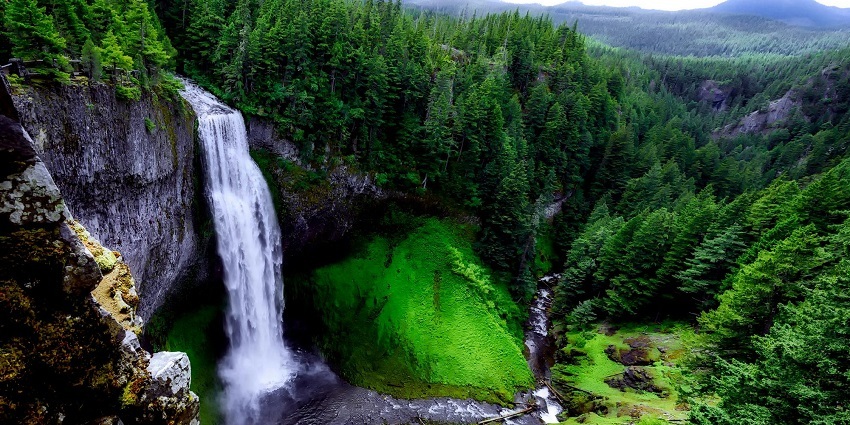 An image of a green environment falls like Aintharuvi, a famous place near Courtallam Waterfalls.