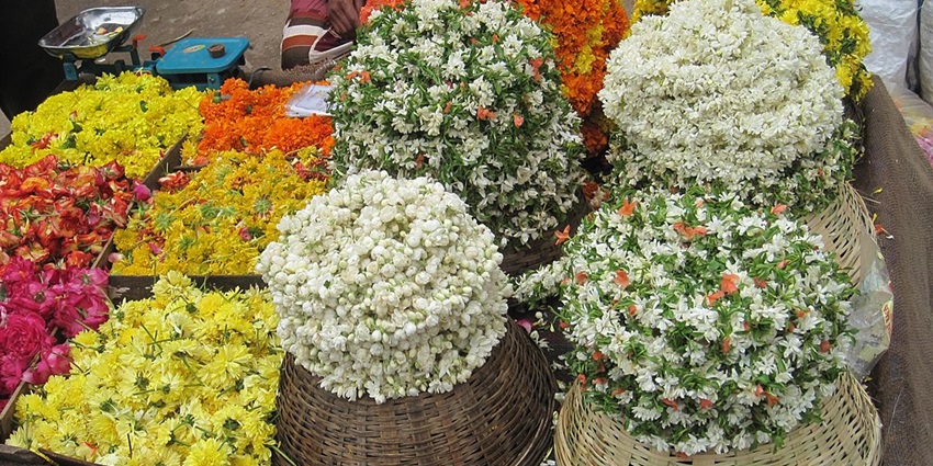 Colourful market offering a wide selection of fresh flowers.