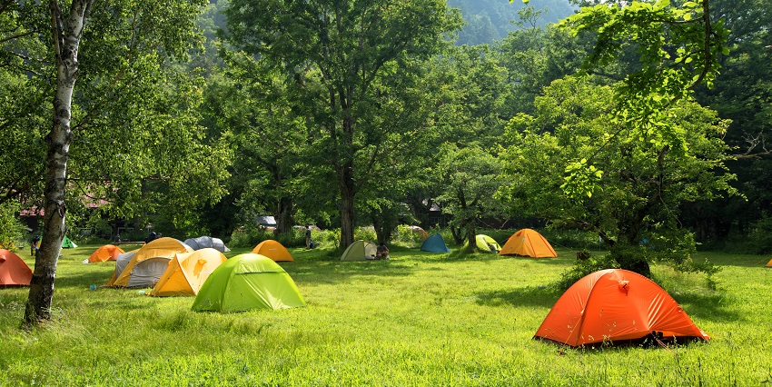 Immerse in nature with outdoor camping, hiking, and exploration.
