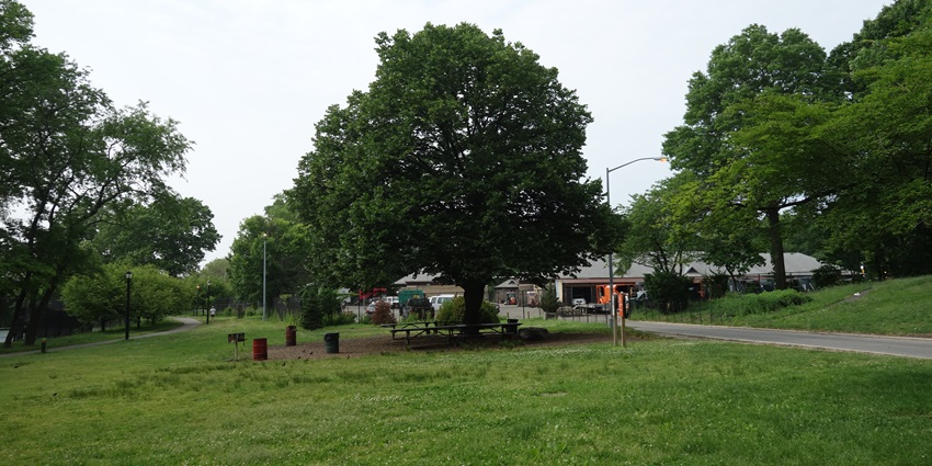 A picture of a verdant park in Noida with a cover of grass and a shed with benches for sitting