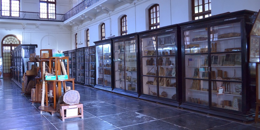 Forest Research Institute Museum in Dehradun displays forestry and botanical exhibits.