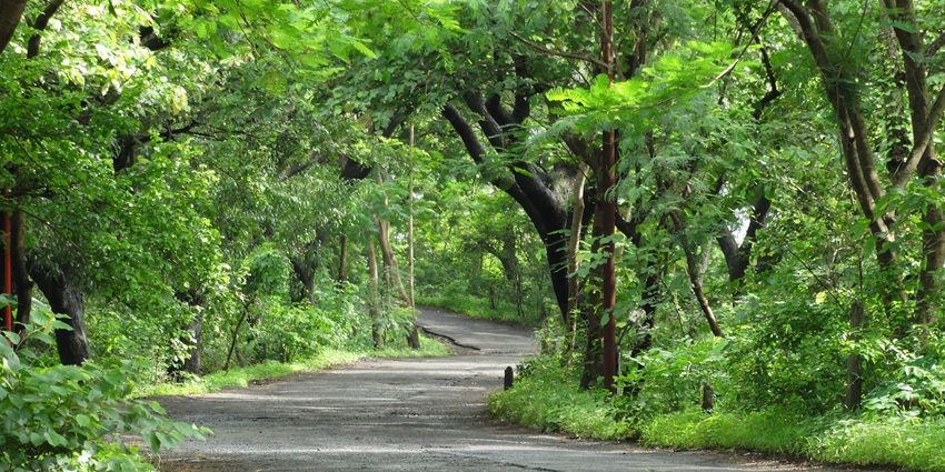 Gandhi Park is one of the most amazing tourist attractions for every traveller.