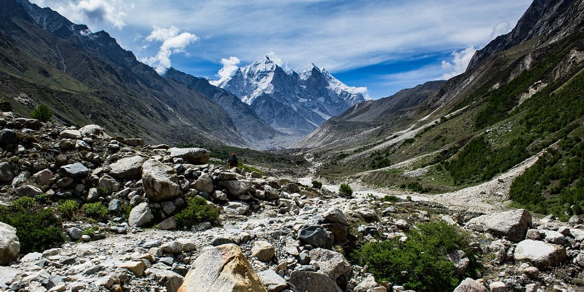 Explore Gangotri National Park, a must-visit National Park in Uttarakhand.
