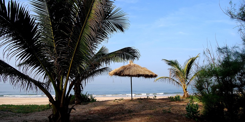 Scenic view of pal trees on the Ganpatipule Beach,, a coastal gem near the Ratnagiri Marine Fish Museum