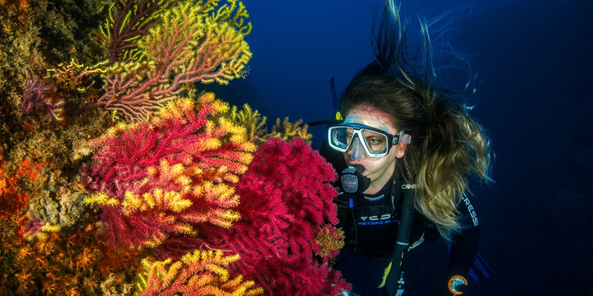 Close up image of a scuba diver at Ganpatipule, one of the best place for scuba diving in Maharashtra
