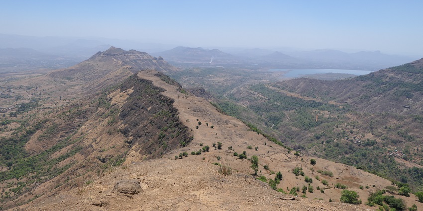 A picture of Garbett Point with mist-covered mountains and small plants all over them.