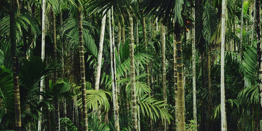 A board at the entrance of the Garh Jungle, a rejuvenating place in West Bengal.