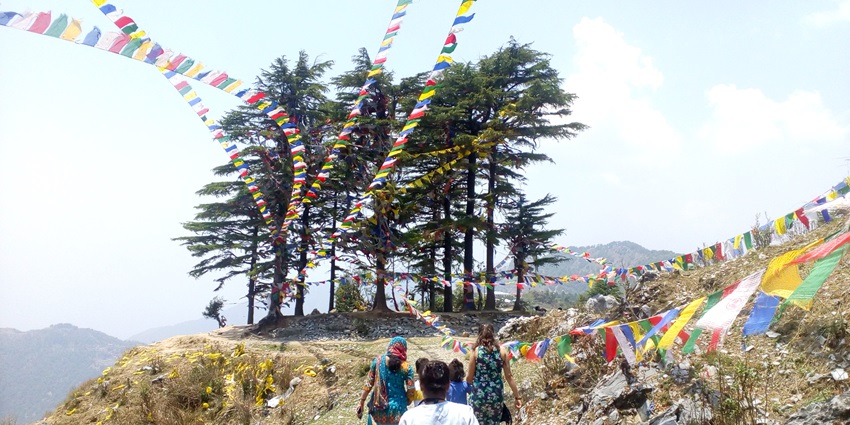 Explore the stunning George Everest Peak, one of the places to visit near Dehradun with friends.