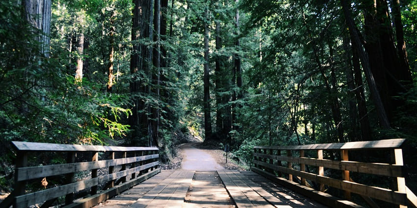 Explore serene, less-travelled roads for a peaceful walking experience.