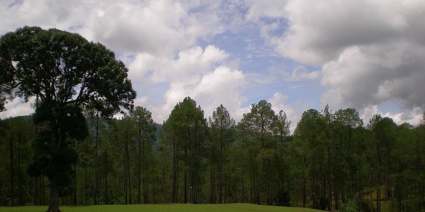 One of the adventurous things to do in Ranikhet is visit this beautiful golf course.