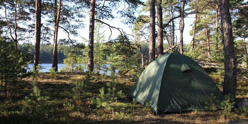 Eco-friendly adventure camping in Dehradun offering various outdoor activities.