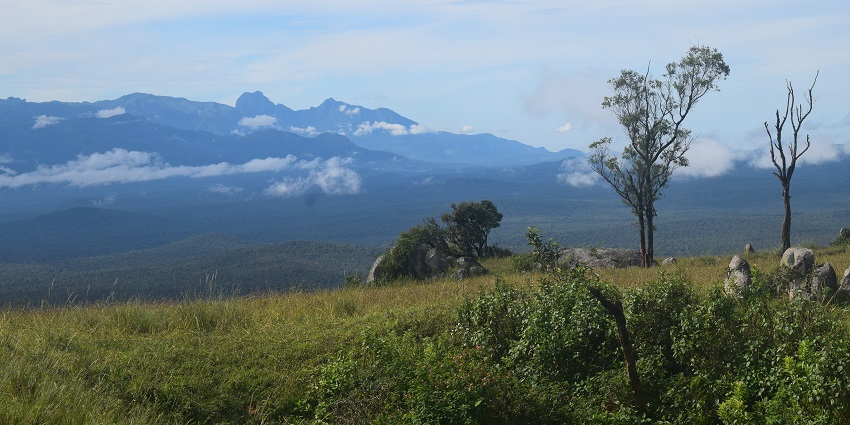 View from the Gopalaswamy Betta a famous place near the Sathyamangalam Wildlife Sanctuary.