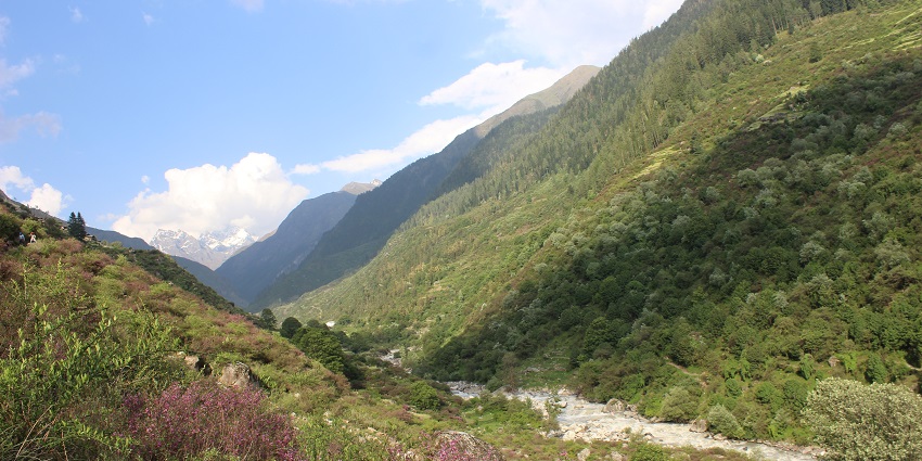 A picture of a mountain range filled with lush greenery and trees, taken on a sunny day