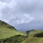 A vibrant view of the Vast green hills of Grass Hills National Park under a clear blue sky