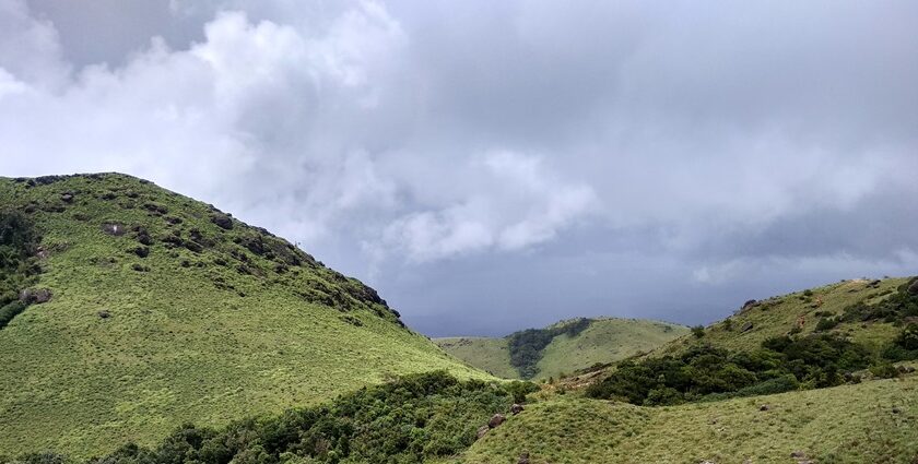 A vibrant view of the Vast green hills of Grass Hills National Park under a clear blue sky