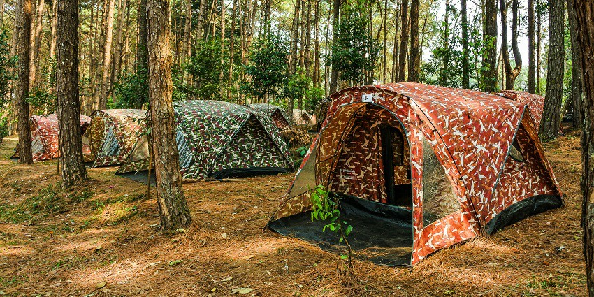 Eco-friendly resort offering relaxation and various outdoor experiences.