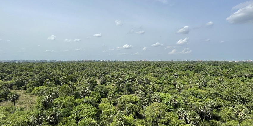An aerial photograph of the vast greenery spread across the Guindy National Park