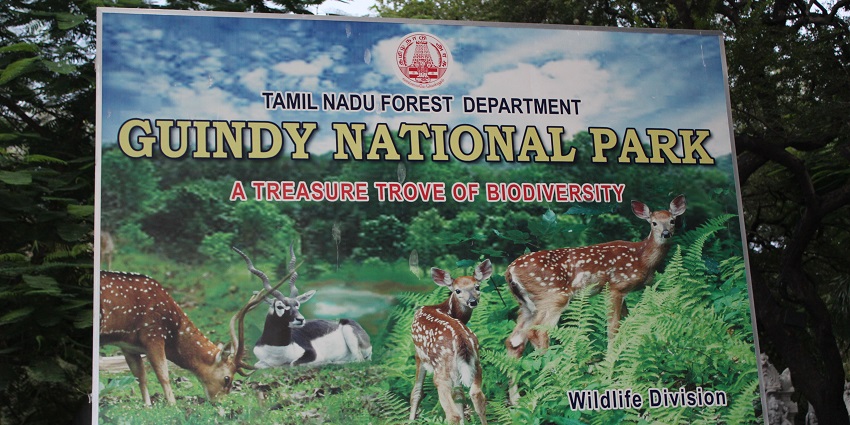 Guindy National Park is an exciting place to visit in Chennai for couples who enjoy wildlife and nature.