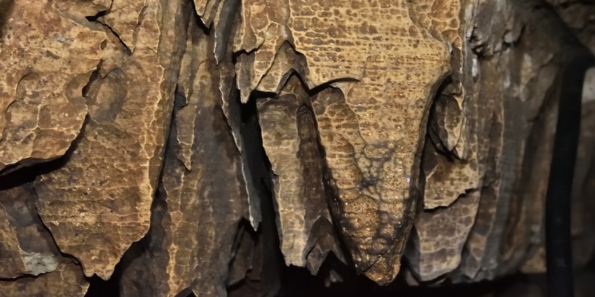 Inside Cave Gupt Godavari, a famous place near Chitrakoot caves, India.