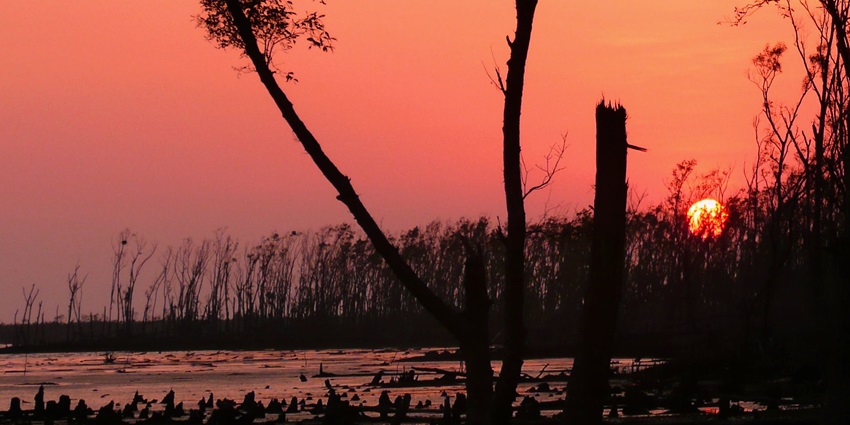Majestic view of Haliday Island during the sunset in the places of Sundarban