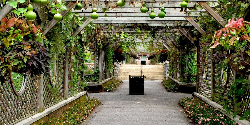 Image of the hanging gardens, one of the best places to visit near the temple