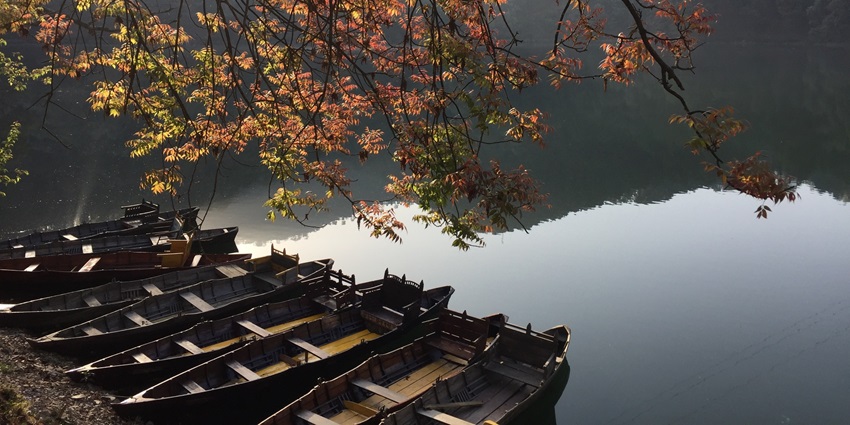 Explore the peaceful beauty and rich historical connections in Hathipaon, Uttarakhand.