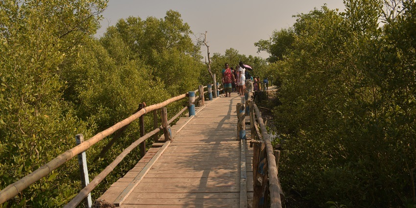 The beautiful eco-friendly road leading to the Island - one of the places to visit in Bakkhali.