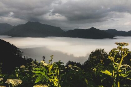 An image of scenic hill stations near Coimbatore with misty mountains and lush greenery.