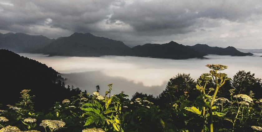 An image of scenic hill stations near Coimbatore with misty mountains and lush greenery.