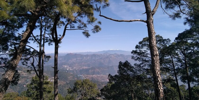 Beautiful view of sunset from the hilltop in Mukteshwar.