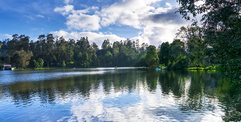 A picture of a beautiful lake and view, rippled water reflecting the blue colour sky.