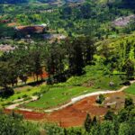 Beautiful view of Ooty, one of the most popular hill stations near Tiruvannamalai