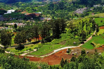 Beautiful view of Ooty, one of the most popular hill stations near Tiruvannamalai